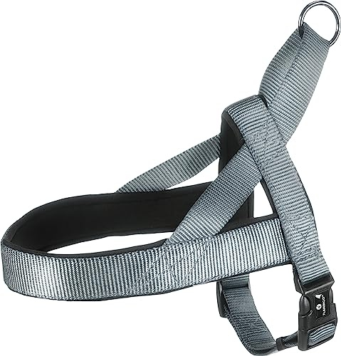 Norweger-Geschirr Abbi GRAU XS 35-42CM 20MM