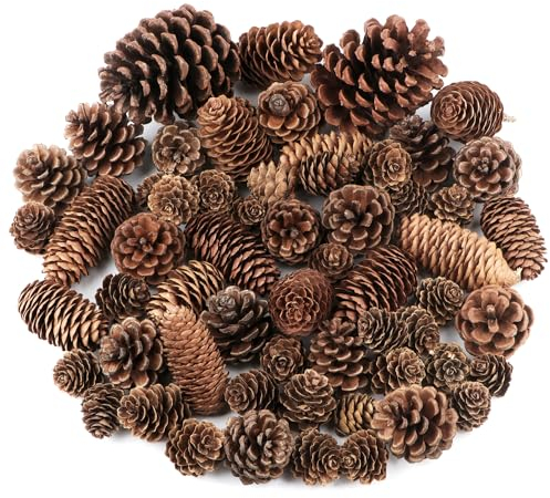 Jangostor 60 Stück Kiefernzapfen Dekorationen, natürliche Kiefernzapfen Bulk große mittlere und Mini Größe Kiefernzapfen Ornamente für Weihnachtsbaum Handwerk Geschenke Thanksgiving Xmas Home Decor