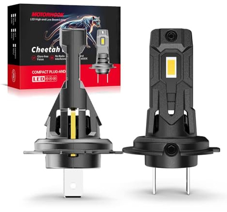 MOTORHOOK Lampe Auto H7 55W 12V Halogen Auto Scheinwerferlampe, 6000K Weißes Licht, 2 Stück, mit E-Prüfzeichen (6000K, H7)