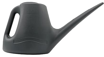 ANGIX 1L Watering Can for Indoor & Outdoor Plants - Small Watering Jug with Long Spout for Precise Watering - Ideal for Bonsai, Seedlings, Flowers & Greenhouses - Lightweight with Handle