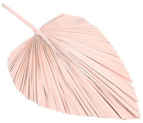 Cabilock Décoration en Éventail en Feuilles De Palmier Arche Chic en Feuilles De Palmier Séchées Décoration De Mariage Style Naturel