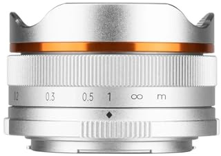 Camera Lenses, Obiettivo grandangolare Fisheye APS-C mirrorless da 10 mm F5.6, compatibile con Sony ZV-E10 A6400 Canon EF-M Nikon Z Fujifilm,replacement(Silver,Macro 4/3)