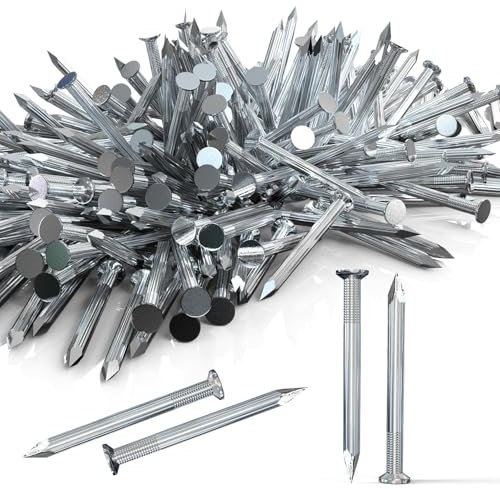550 Pezzi Chiodi Acciaio per Cemento Armato Chiodelli 20 mm Perni da Muro Chiodi per Quadri Muro Chiodi Zincati Argenteo per Mattoni Immagini Appese Chiodi in Legno Uso Universale per Interni Esterni