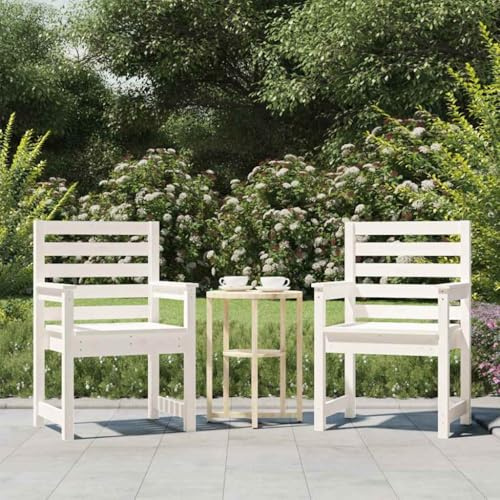 Owoxanthellate Gartenstühle 2er Set aus massivem Kiefernholz 60x48x91 cm Weiß Langlebige Terrassenstühle mit Armlehne platzsparend für Balkon Garten und Wintergarten