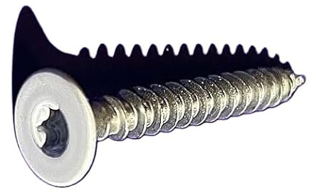 Holzschrauben - Spanplattenschrauben -Edelstahl V2A Weiß TORX 3-4 - 5 mm Vollgewinde Weiß aus Deutschland (25, 4 x 40)