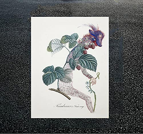 CloudShang Dali Framboisier (Raspberry Bush) Poster Salvador Painting Weird Dreamlike Image Abstract Surreal Wall Art Vintage Cubism Pop Decor H03107