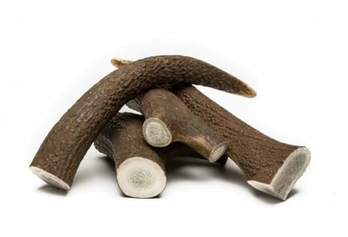 Corno di Cervo Naturale per Cani, Osso da Masticare 100% Naturale, Varie Dimensioni per Tutti i Tipi di Cani (TAGLIA S (50-75 G))