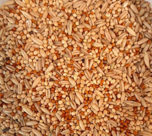 Samore 25 kg Wellensittichfutter - Kanarienfutter- Vogelfutter