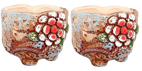 ROMISBABA 2piezas Maceta De Barro Pintada Mano para Suculentas Cactus y Bonsái Cerámica para Plantas Pequeñas Interiores o Jardines
