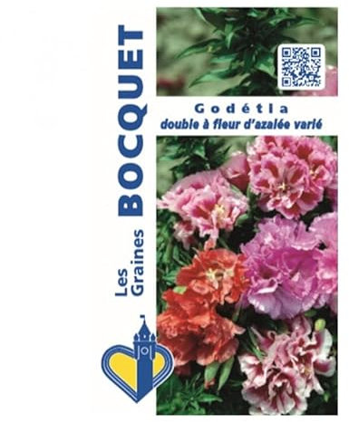 Sachet de graines de Godétia double à fleur d'azalée varié - 1,5 g - fleur annuelle - LES GRAINES BOCQUET