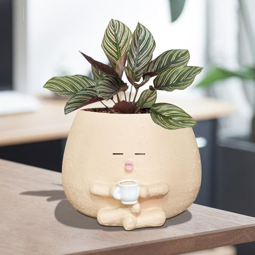 Toparad Fioriera con faccina sorridente con tazza da caffè, graziosa fioriera in resina, per interni ed esterni, unica per piante grasse, con foro di drenaggio, idea regalo per mamma Natale (cachi)