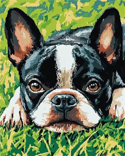 Kitquiver Knüpfteppich Set Hund Knüpfen Handarbeit Set 52X38cm DIY Knüpfsets mit Werkzeug Knüpfhaken-Teppich-Set Teppichherstellungs-Set Handarbeit für Anfänger
