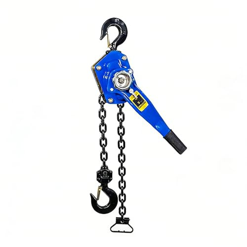 TY&WJ Polipasto De Palanca 3/4 Tonelada (750Kg), 5Ft Altura De Elevación Polipasto De Trinquete con Cadena G80 Y Gancho Giratorio 360° para Taller, Fábrica,3ton,3m/10FT