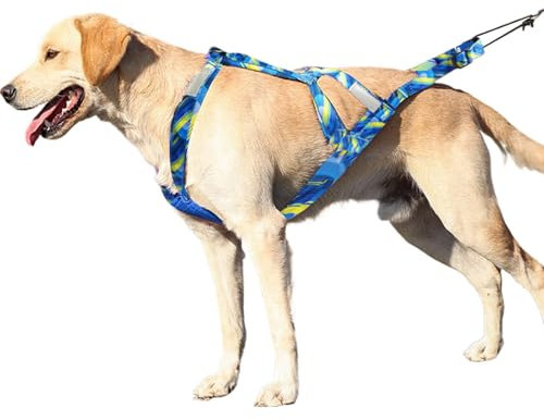 Hunde Zuggeschirr | Hunde Schlitten Zuggeschirr | Hund Gewicht Zuggeschirr | Verstellbares Hunde Brustgeschirr Reflektierend Hundegeschirr | Outdoor Hundeseil Flexibles Hundeseil zum Schlittenfahren