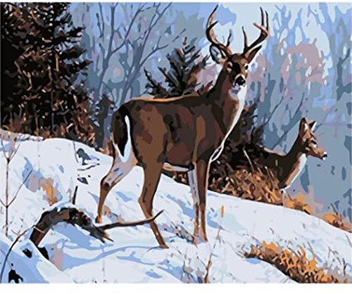YSCOLOR Diy Ölgemälde Nach Zahlen Tiere Hirsche Im Schnee Leinwand Ölgemälde Sohn Für Erwachsene Und Zeichenanfänger Malen Nach Zahlen Mit Pinsel 40X50cm