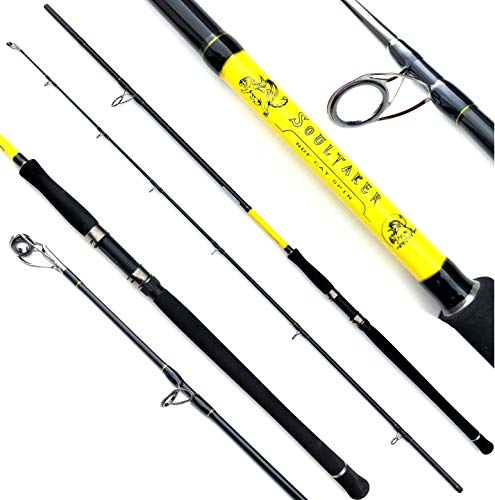 Mantikor Soultaker NDF Cat Spin 2,70m / 60-250g Wallerrute Spinnrute Waller/Wels Rute