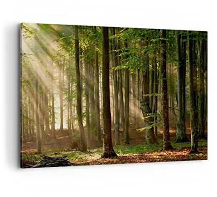 Deco Cadre Décoration Salon forêt arbre nature Moderne Impression sur Toile 120x80cm Image Tableau Decoration Murale Chambre Cuisine Horizontal Art Wall Grand Tableaux Decoratifs Muraux AA120x80-3628
