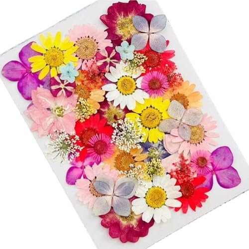 GNYVZXPLQ e la seta con il tronco, 1 set di piccole decorazioni floreali secche, fiori secchi pressati per resina, foglie secche, adatte per scrapbooking, fai da te (rosa scuro)