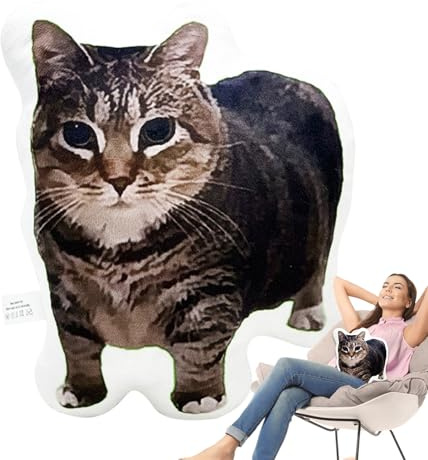 Katzenplüschkissen, Kätzchenkissen | Süßes Plüschkissen Katze Sofa | Kuscheliges tofftier Kissen Für Schlafzimmer Wohnzimmer Auto | Weiches Dekokissen Plüschtier Geschenk Für Kinder Erwachsene