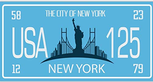 OPO 10 - Plaque D' IMMATRICULATION de Voiture USA - réplique en métal 30x15 cm : New York City (8137)