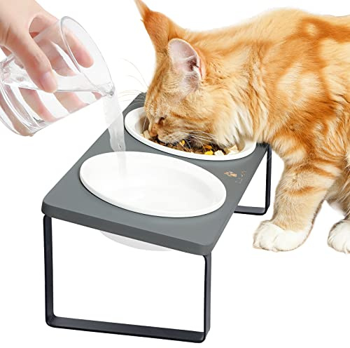 GUUSII HOME Ciotole per Gatti Rialzate Ciotola Gatto Ceramica Legno 15° Inclinate Gatto Set di Doppio Ciotole per Alimenti Ø14cm con Supporto in Bambù Inclinato Antiribaltamento (Grigio)