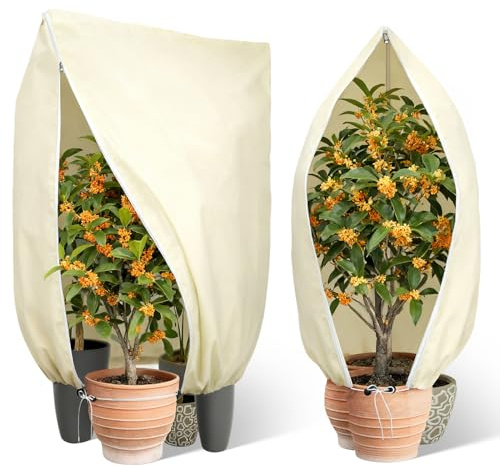 2 Pezzi Telo Piante Inverno 200*240CM Velo da Sposa per Piante XXL con Cordoncino Cerniera Copri Piante Inverno Tessuto non Tessuto per Palme Arbusti Bianco limone Arbusti olivo Piante invernali