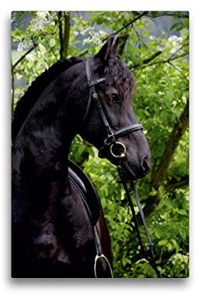 Premium Textil-Leinwand 30 x 45 cm Hoch-Format Pferde ... fliegen ohne Flügel, Leinwanddruck von K. Grüttner