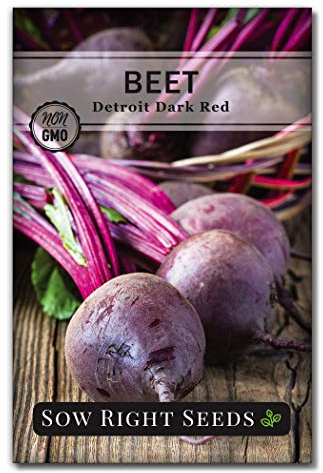 Sow Right Seeds - Detroit Dark Red Beet Seeds for Planting - Non-GMO Heirloom Packet with Instructions to Plant & Grow an Outdoor Home Vegetable Garden - Nutritious, Cold Hardy, and Productive (1)