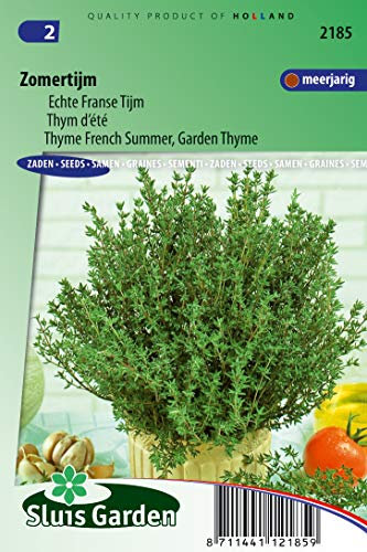 Thyme French Summer, Garden Thyme - Herb Seeds