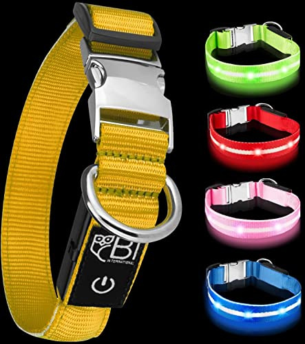 Leuchthalsband für Hunde [Das Original] Leuchtendes LED Hundehalsband zum spazieren gehen auch im Dunkeln- sehr Lange Akkulaufzeit – Sicher Dank hochwertigem Metallverschluss (XS (24-35 cm), Gelb)