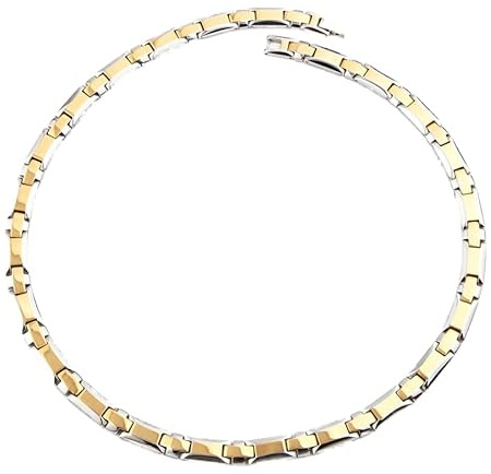 HAQI Titan-Magnetfeldtherapie-Halskette für Herren zur Schmerzlinderung, Damen-Silber-Gesundheits-Magnet-Halsketten, Magnet-Halskette für Damen, Herren-Geschen(Gold und Silber)
