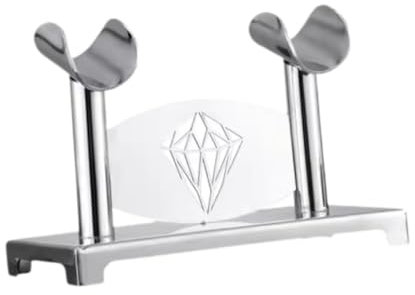 TTETTZ Mikrofonständer für Den Tisch, Edelstahl, Halter für Karaoke, Platz für Zwei Mikrofone, Silber