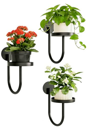 Vexnaro Étagère Murale pour Plantes, Support Mural en Métal Noir, U-Design Moderne, Idéal pour Pots de Fleurs, Plantes d’Intérieur et Décoration de Salon, Balcon ou Terrasse