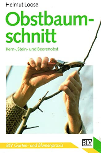 Obstbaumschnitt. Kern-, Stein- und Beerenobst.