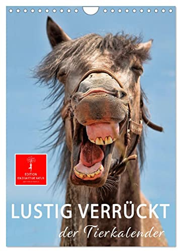 Lustig verrückt - der Tierkalender (Wandkalender 2026 DIN A4 hoch), CALVENDO Monatskalender: Schöne Tierbilder, die Freude machen. (CALVENDO Tiere)