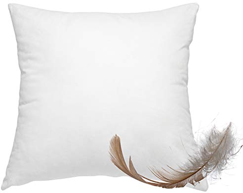 wometo Federkissen 100% Federn 40x40-300g Oeko-TEX Sofakissen Füllkissen Bezug Baumwolle weiß/Innenkissen/Kissenfüllung/Kopfkissen