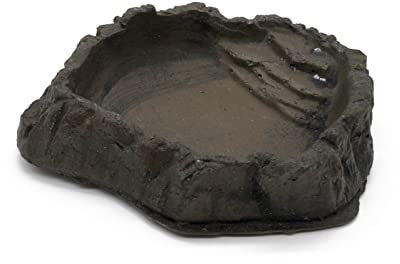 ZooPaul Terrarium Reptilien Schale braun L ca. 17x15x4 cm (L/B/H) Trink Wasserschale Wassernapf Futterbar