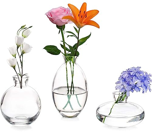 Vasen 3er-Set Kleine Blumenvasen Modern aus Kristall Transparent, Mini-Vasen Glasfläschchen, Vase dekorative, Glasvase deco für Tischmitte, bücher, Hochzeit, Taufe, Geburtstag, Geschenk zum Muttertag
