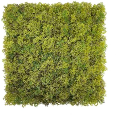 BONERVA Jardín Vertical Artificial Musgo Plus 100x100 cm, 1 m², Pack 4 Paneles 50x50 cm, Muro Vegetal Decorativo de Musgo para Interiores contemporáneos oficinas hoteles y comercios sin Mantenimiento