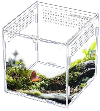Reptile Enclosure - Acrylic Clear Animal Box | Gecko Tank | for Small Reptiles, Spiders, Geckos, Lizards, Snakes, Frogs, Breeding