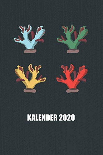 Kalender 2020: Korallen Korallenhaltung (Riffleben, Band 1)