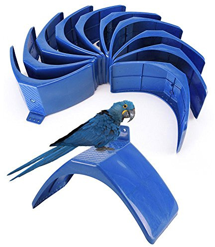 Lot de 10 supports pour perchoir à oiseau, pigeon, accessoires de support pour repos colombe pour oiseaux, barbecue, perchoirs pour oiseaux, fournitures pour animaux domestiques