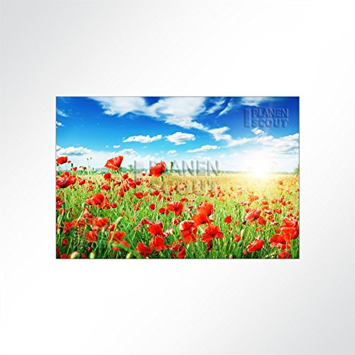 LYSEL® Absorberbild - Mohnblumen im Sonnenschein 100x100x5,5cm - Akustikbild Schallschlucker mit 50mm Schaumstoff aus Basotect® G+