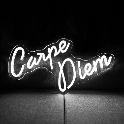 MOOWI Letrero luminoso Letrero de neón LED Carpe Diem, letrero de neón, decoración de fiesta de bar, acrílico blanco alimentado por USB, letrero nocturno montado en la pared, 43X29cm