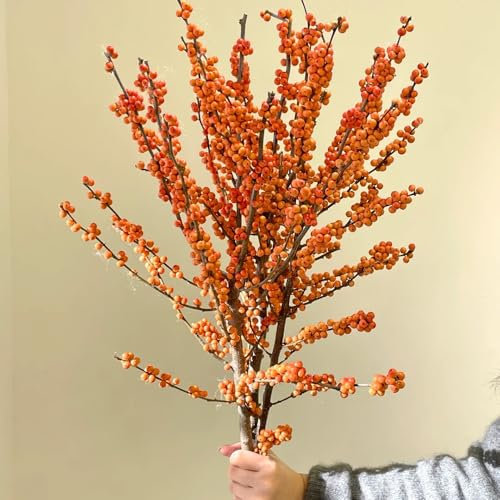 semi di agrifoglio resistenti, agrifoglio semi di alberi, semi di bonsai da interno, decorazione di arbusti bonsai albero vero, decorazione da giardino per esterni piante resistenti 25pcs