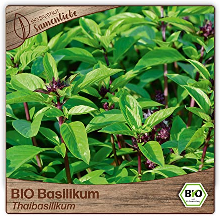 Samenliebe BIO Basilikum Samen Thaibasilikum süßer Anis Geschmack Gartenkräuter Küchenkräuter grün violett 500 Samen samenfestes Kräuter Saatgut für Küche indoor und Balkon Garten BIO Kräutersamen