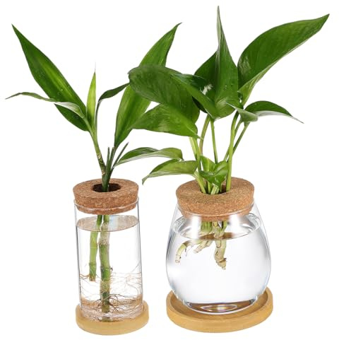 MOTHNUR 2 pièces Vases Hydroponiques Verre avec Bouchon Liège et Plateau Pots Terrarium pour Plantes Intérieur Support de Bouturage Transparent pour Jardin Miniature