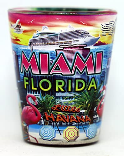 Miami Florida Scene in-and-Out Shot Glass