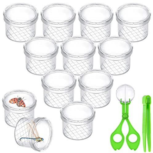 AFAIK Becherlupen für Kinder Becherlupe Lupendose 12 PCS für Wissenschaft/Biologie & Käfersammeln - Insekten Forscherset Kinder