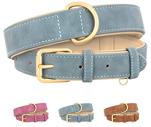 Beirui Weich gepolstertes Leder-Hundehalsband für Hunde,bequem,strapazierfähig,für kleine,mittelgroße und große Hunde,Lederhalsband mit hochwertigen Legierungsbeschlägen für den täglichen,Blau,M